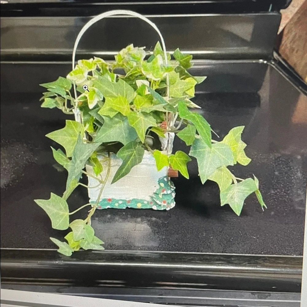 Flower Shop ivy basket arrangement